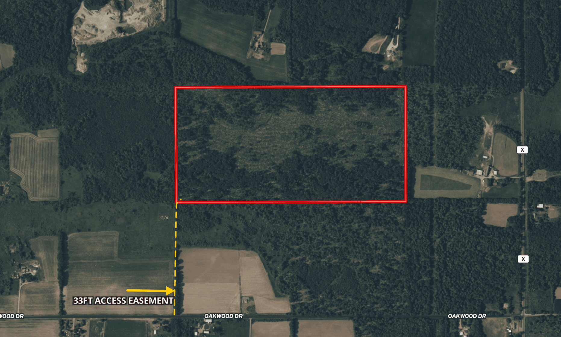 80 Acre Portage County Timber Tract For Sale