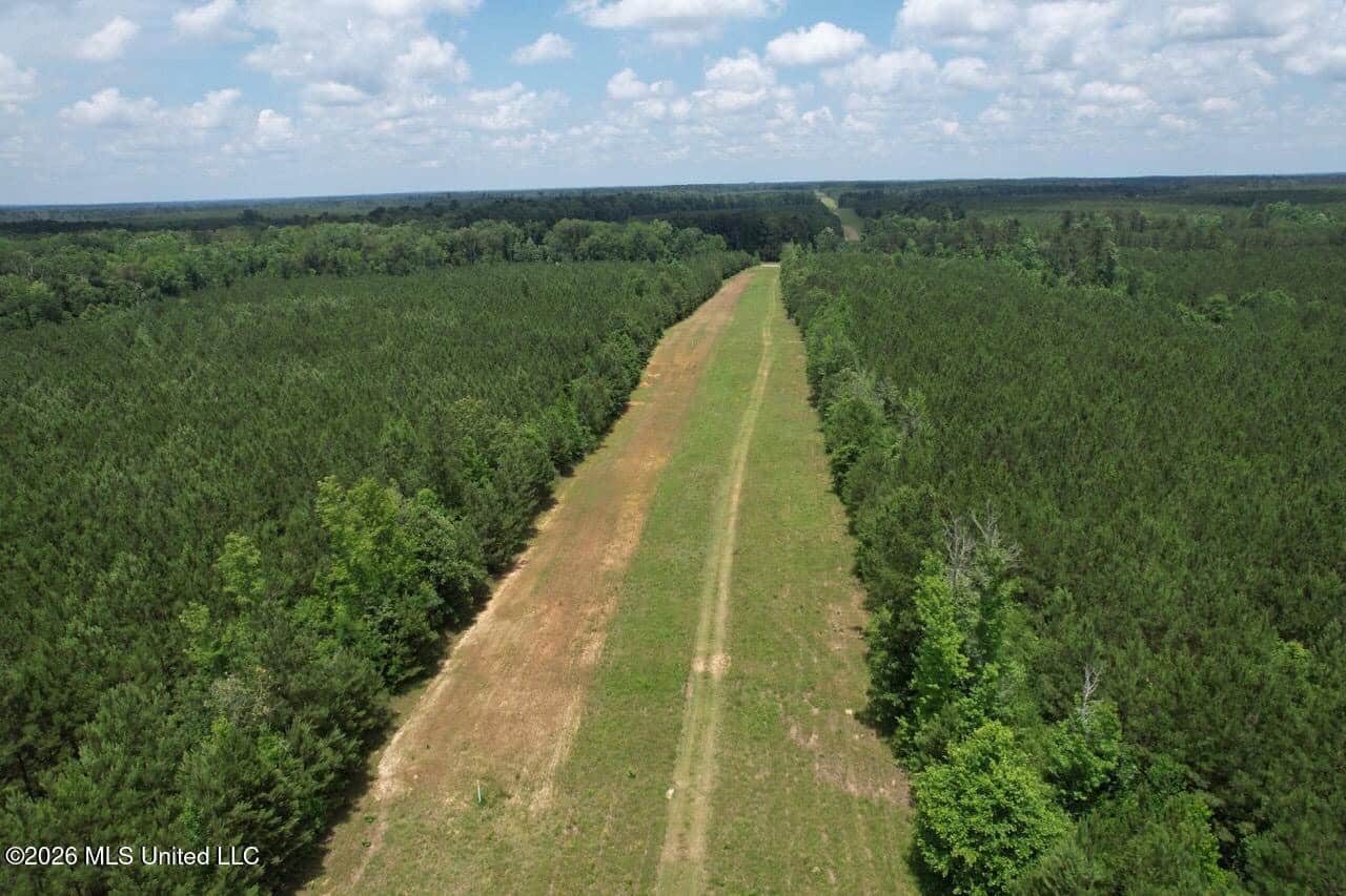 56 Acres in St. Helena Parish with Black Creek