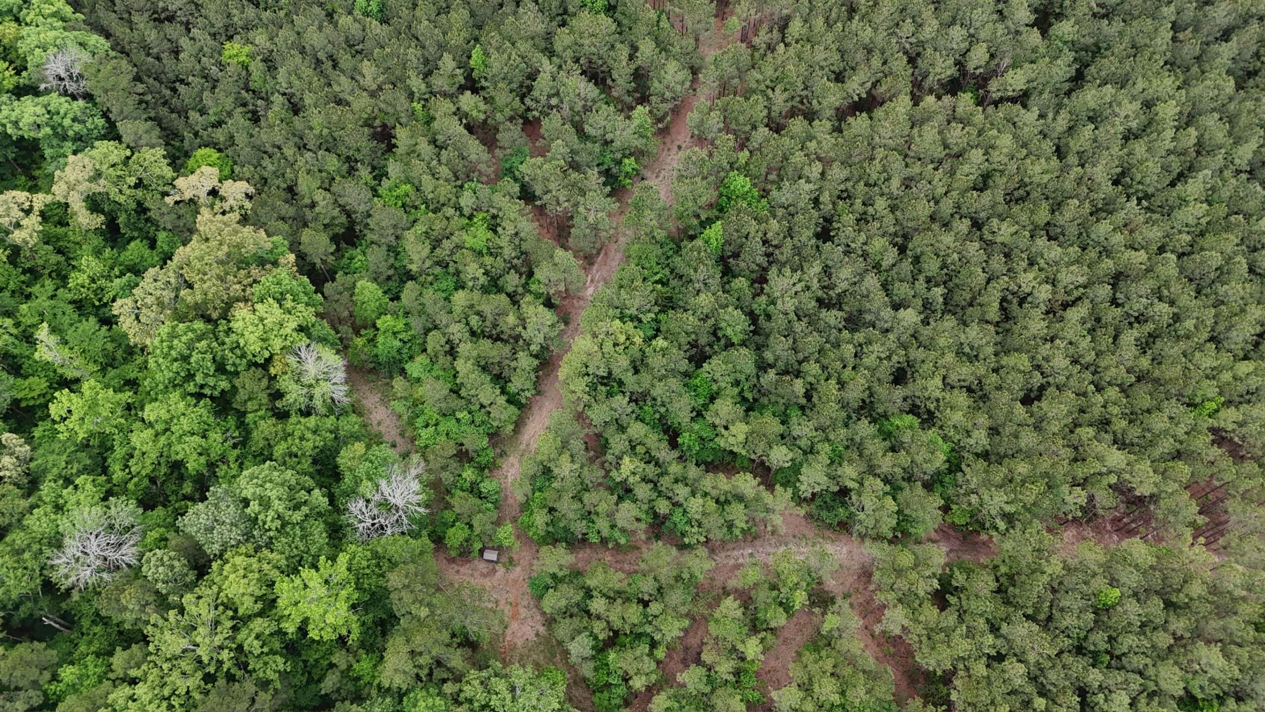 LA Recreation & Timber Property Joining Saline Lake
