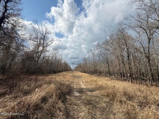 470 Acres on Calcasieu River in Allen Parish, LA
