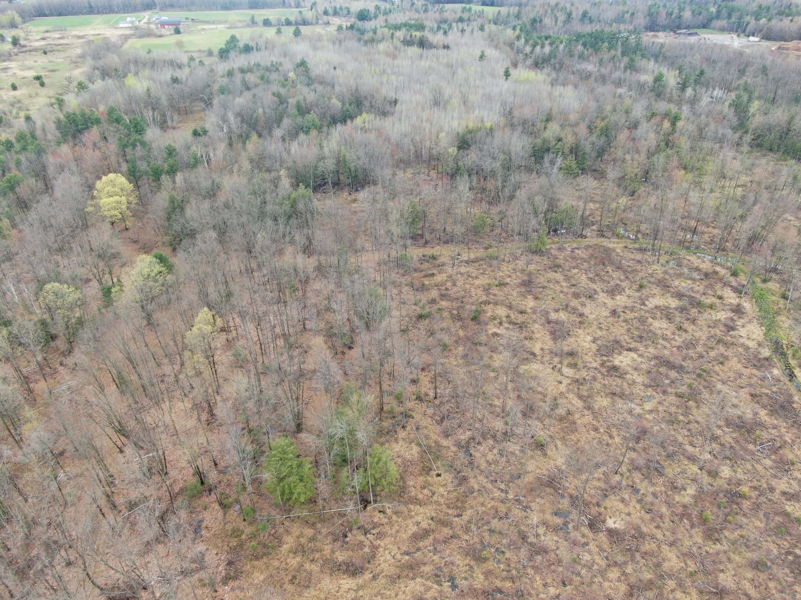 120 acres located in the Town of Dewey, Portage County, WI
