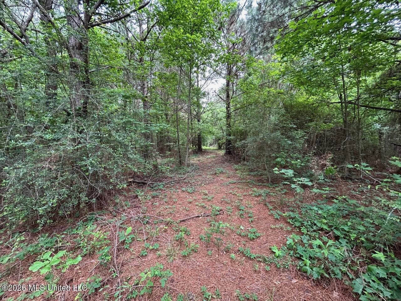 15 Acres with Pond & Homesite in Liberty, MS