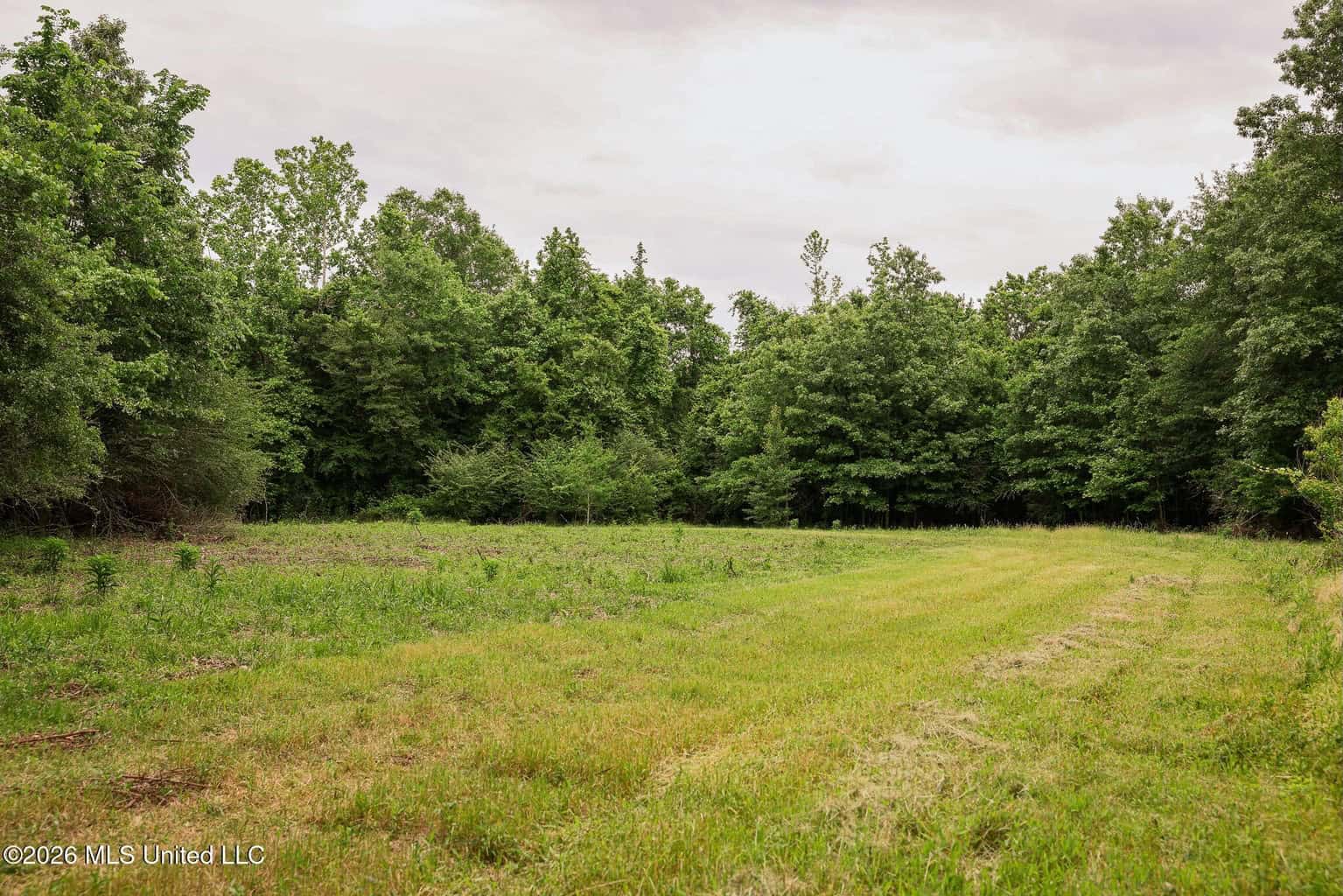 Land for Sale in Amite County, MS