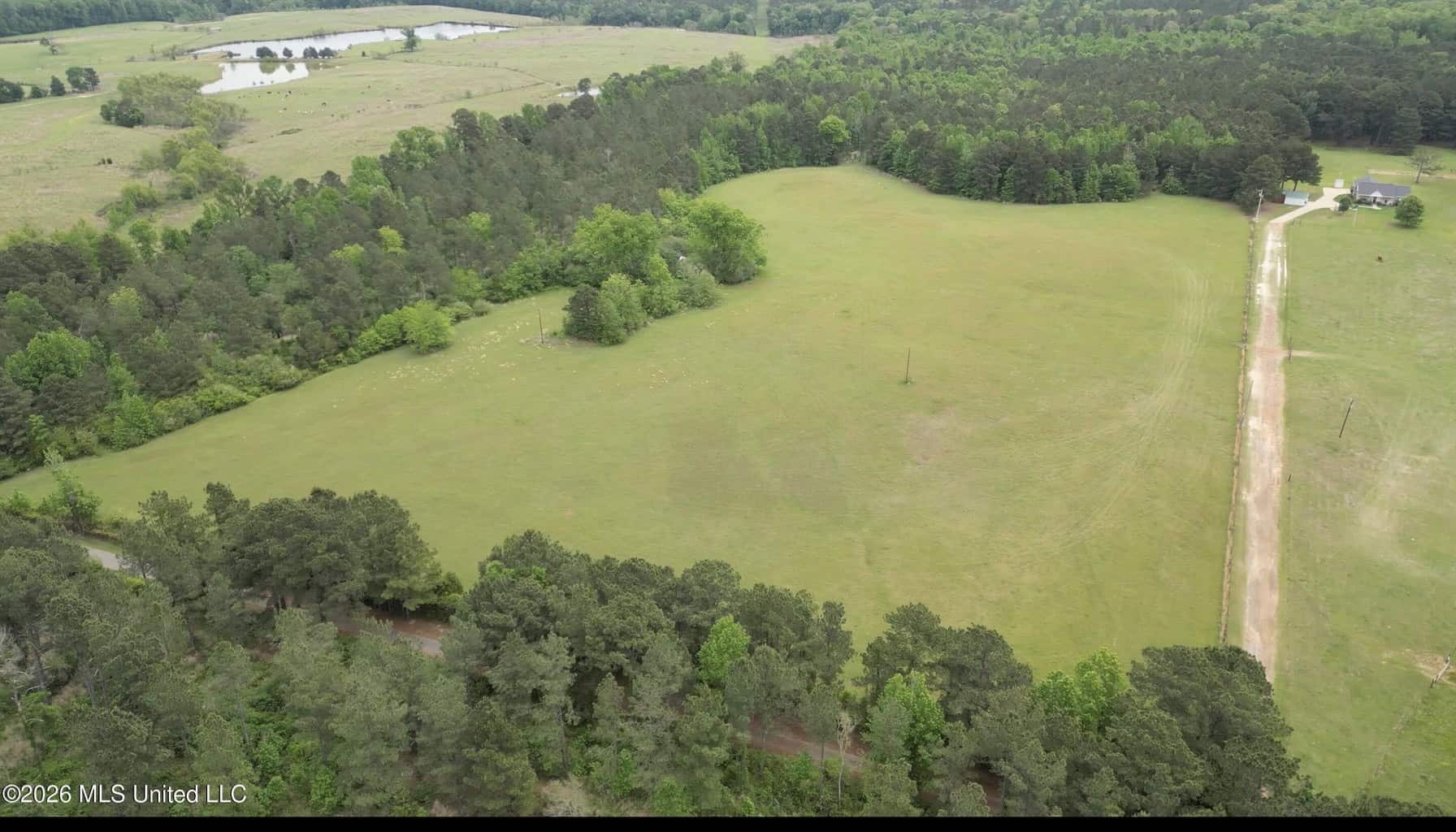 160 Acre in Bienville Parish Near Arcadia, Louisiana