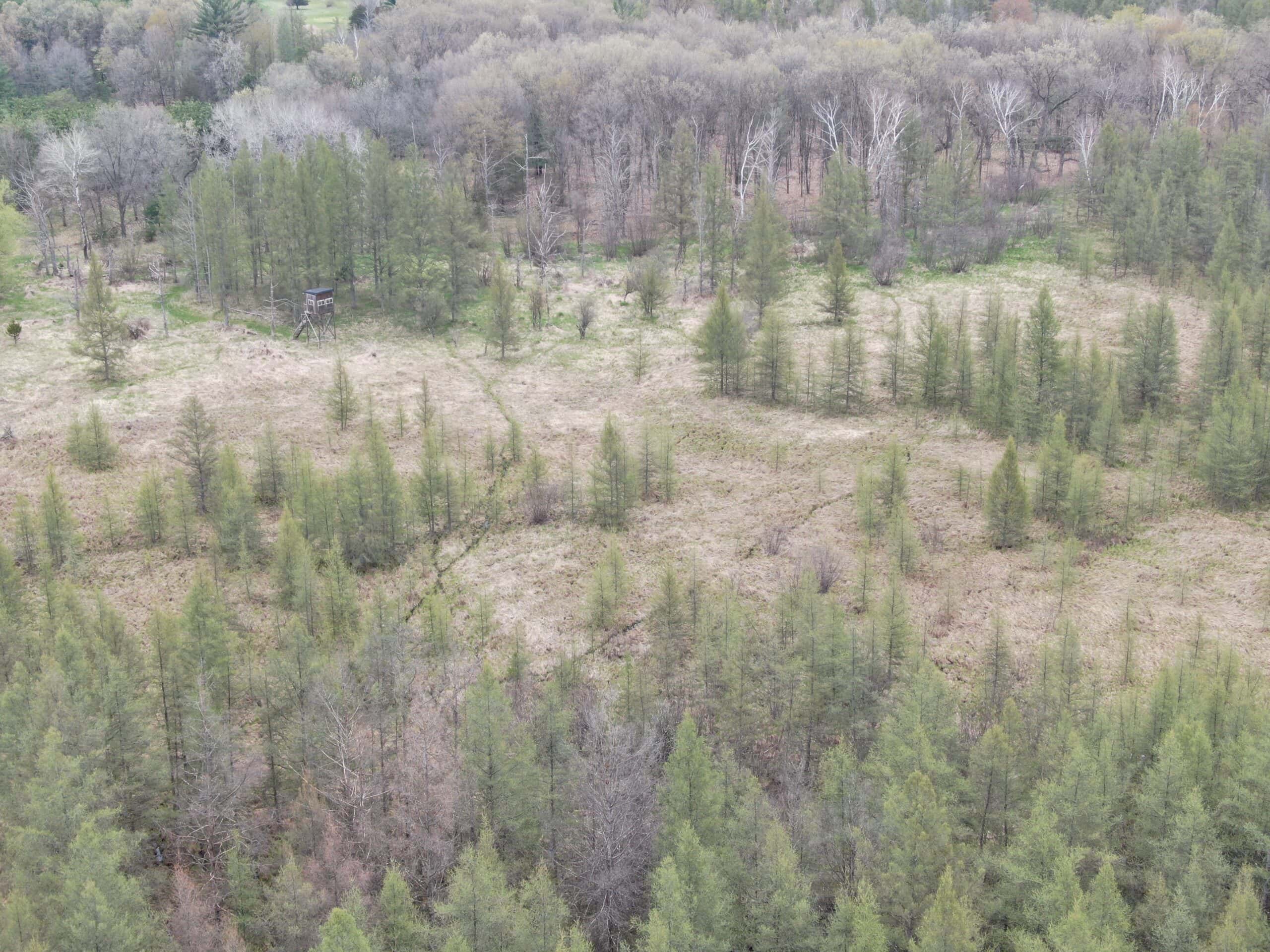 88 Acre Marquette County  WI Hunting Property For Sale