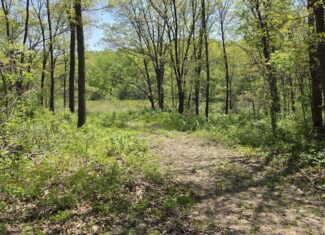49 Acres + Cabin For Sale in Putnam County, MO