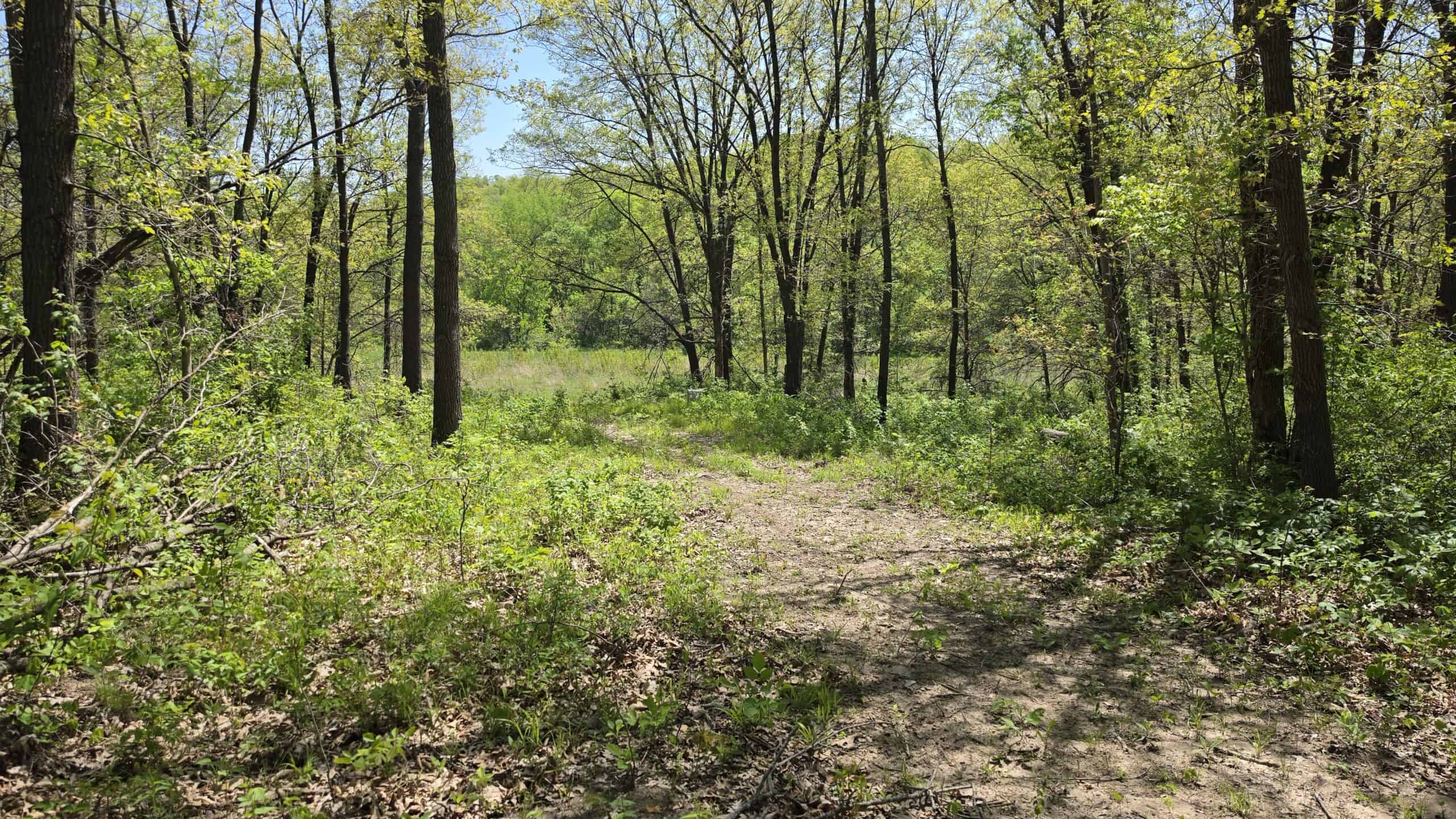 49 Acres + Cabin For Sale in Putnam County, MO