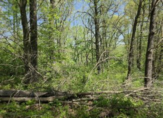 49 Acres + Cabin For Sale in Putnam County, MO