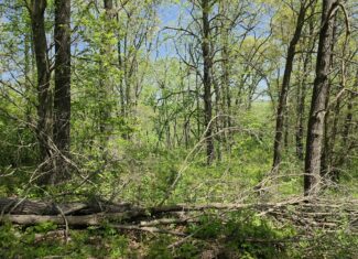 49 Acres + Cabin For Sale in Putnam County, MO