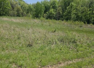 49 Acres + Cabin For Sale in Putnam County, MO
