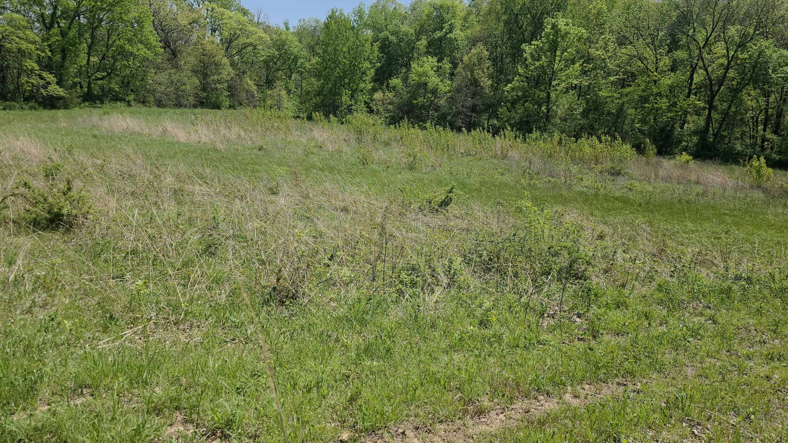 49 Acres + Cabin For Sale in Putnam County, MO
