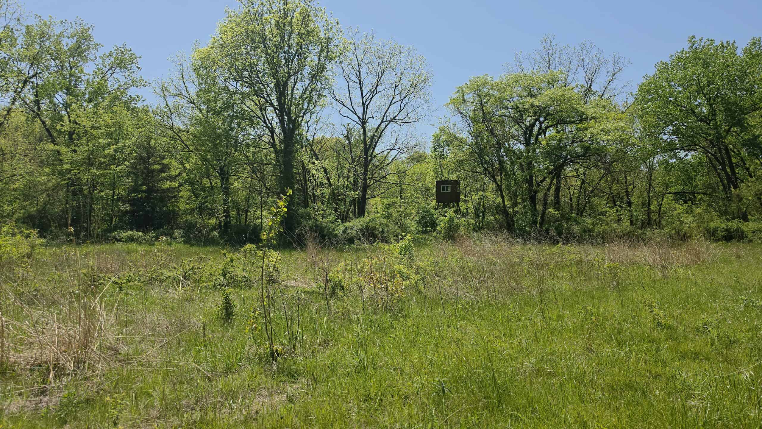 49 Acres + Cabin For Sale in Putnam County, MO