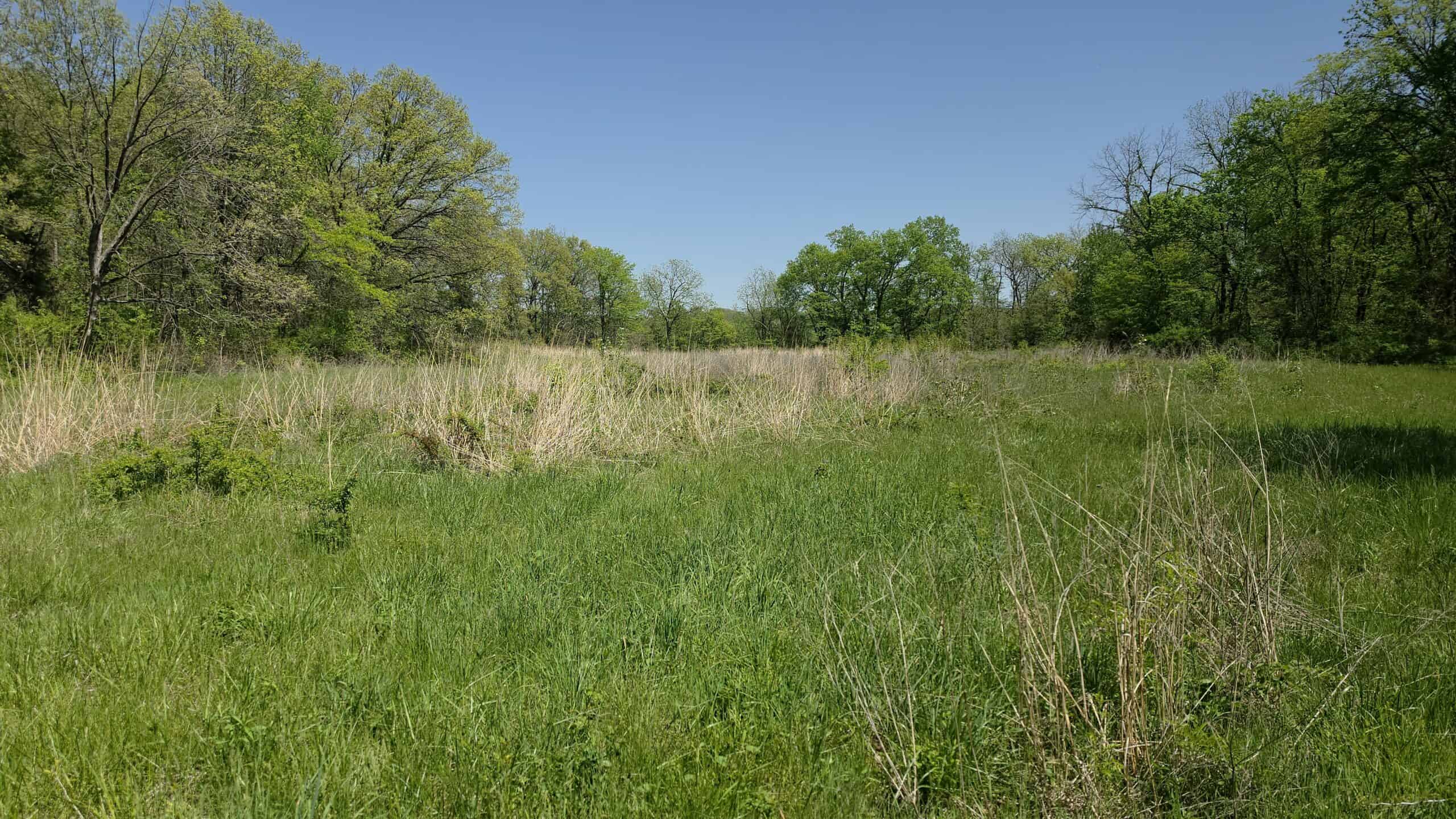 49 Acres + Cabin For Sale in Putnam County, MO