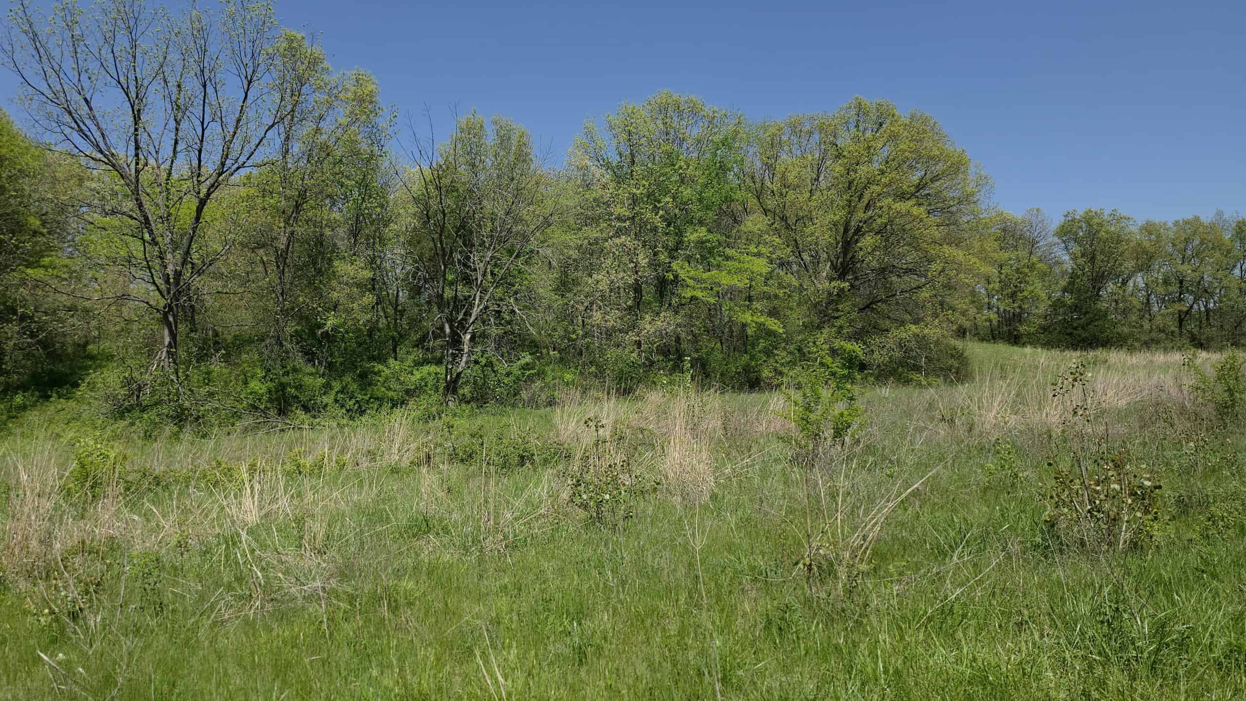 49 Acres + Cabin For Sale in Putnam County, MO