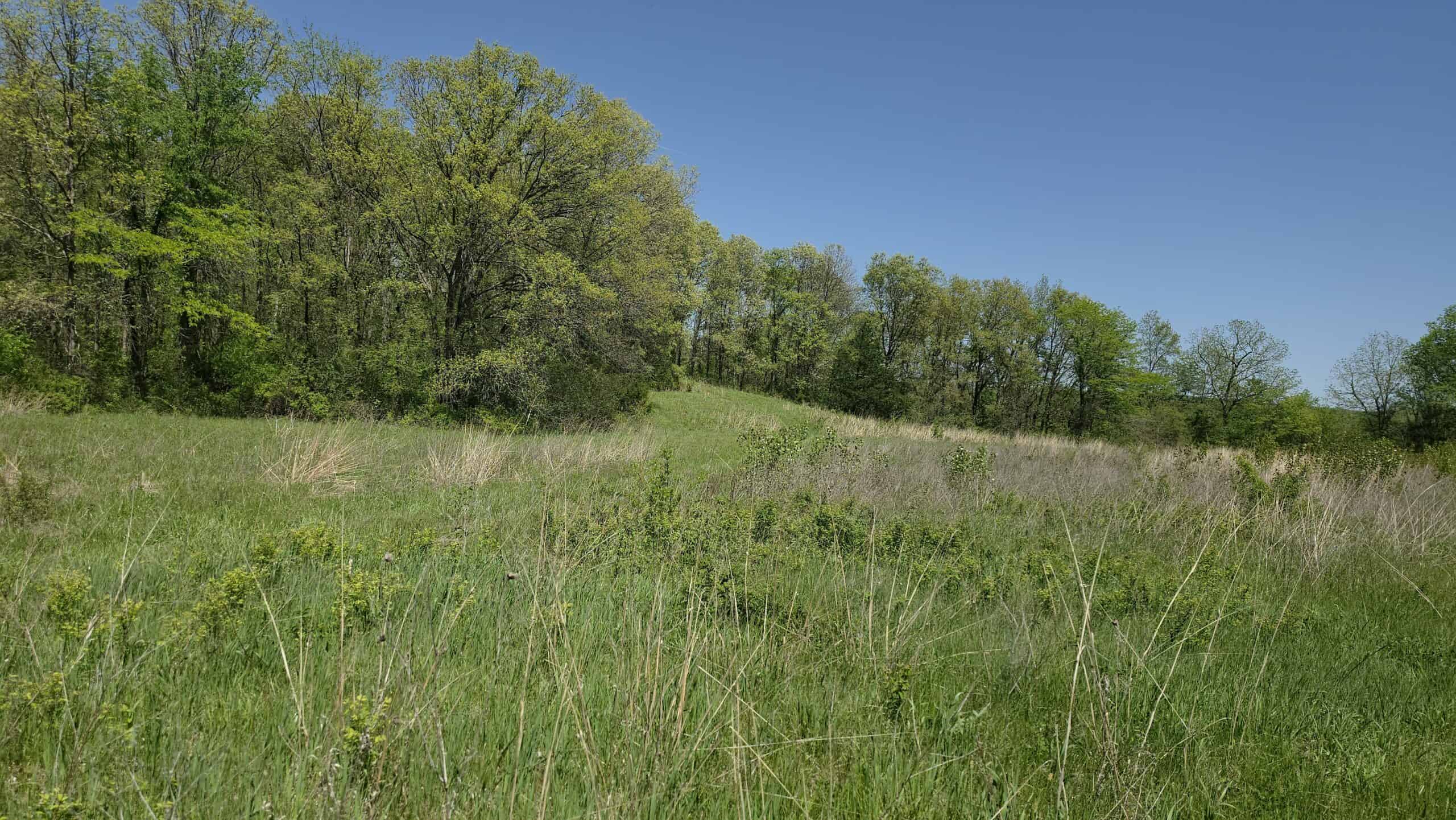 49 Acres + Cabin For Sale in Putnam County, MO
