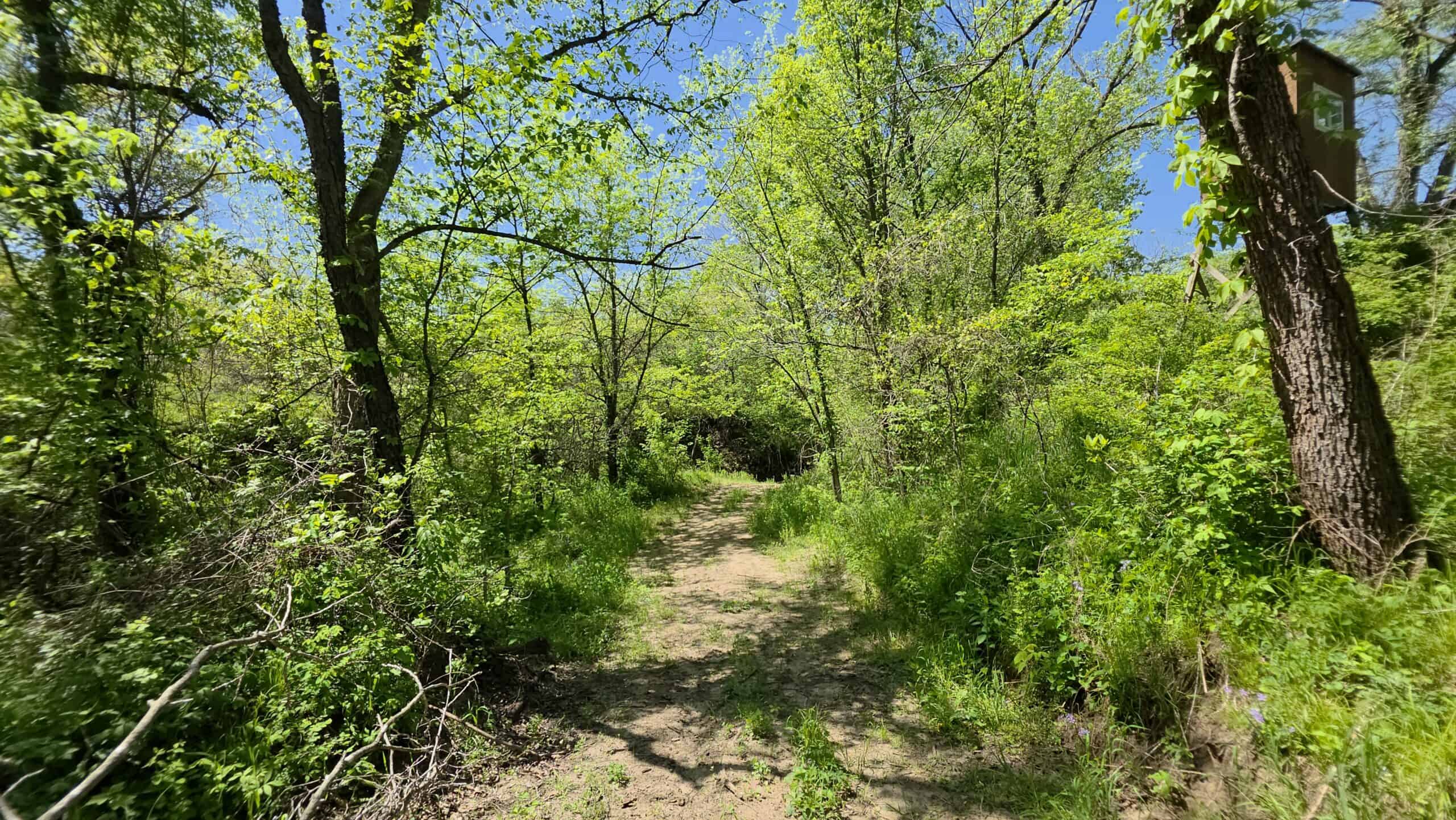49 Acres + Cabin For Sale in Putnam County, MO