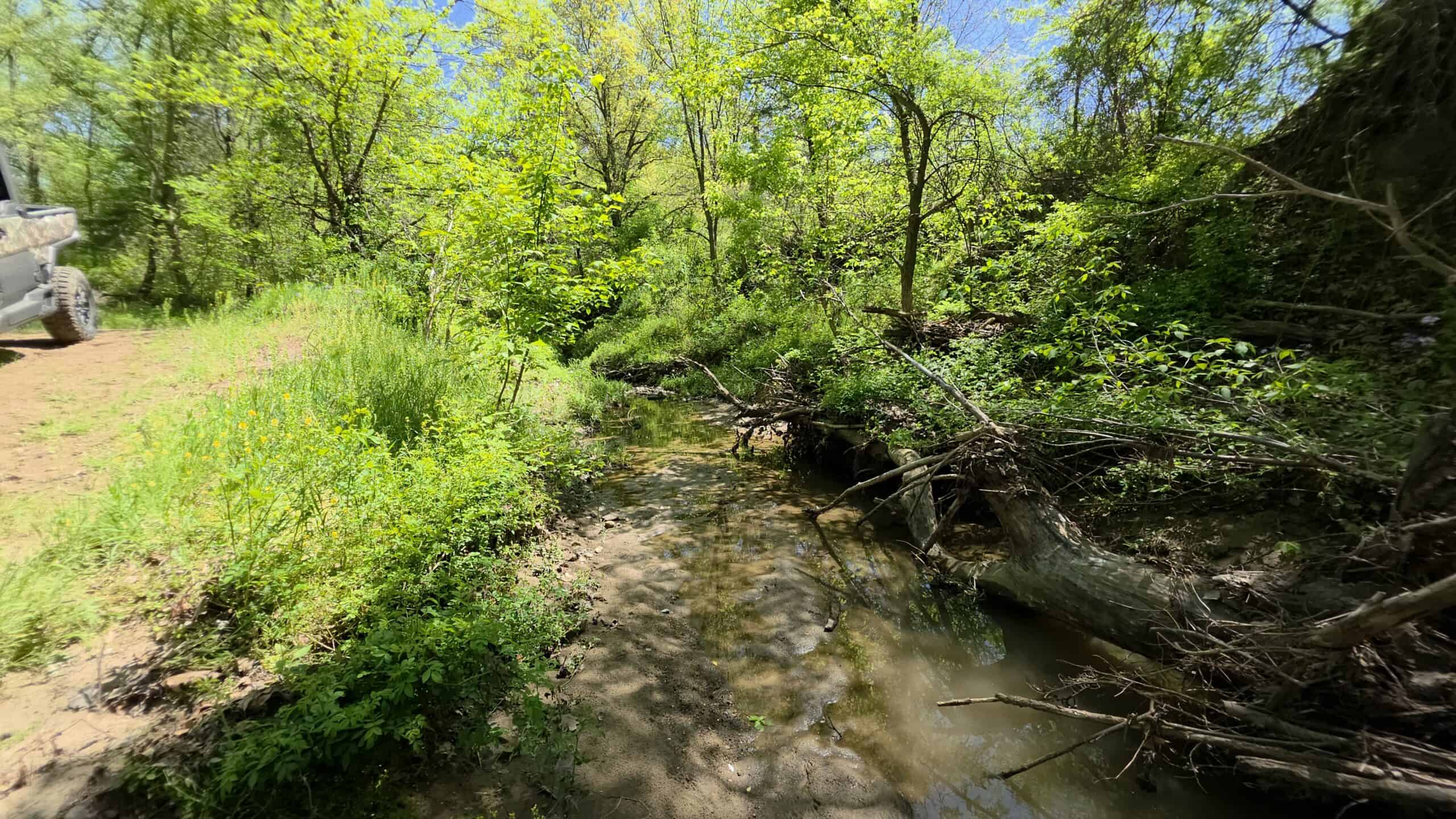 49 Acres + Cabin For Sale in Putnam County, MO