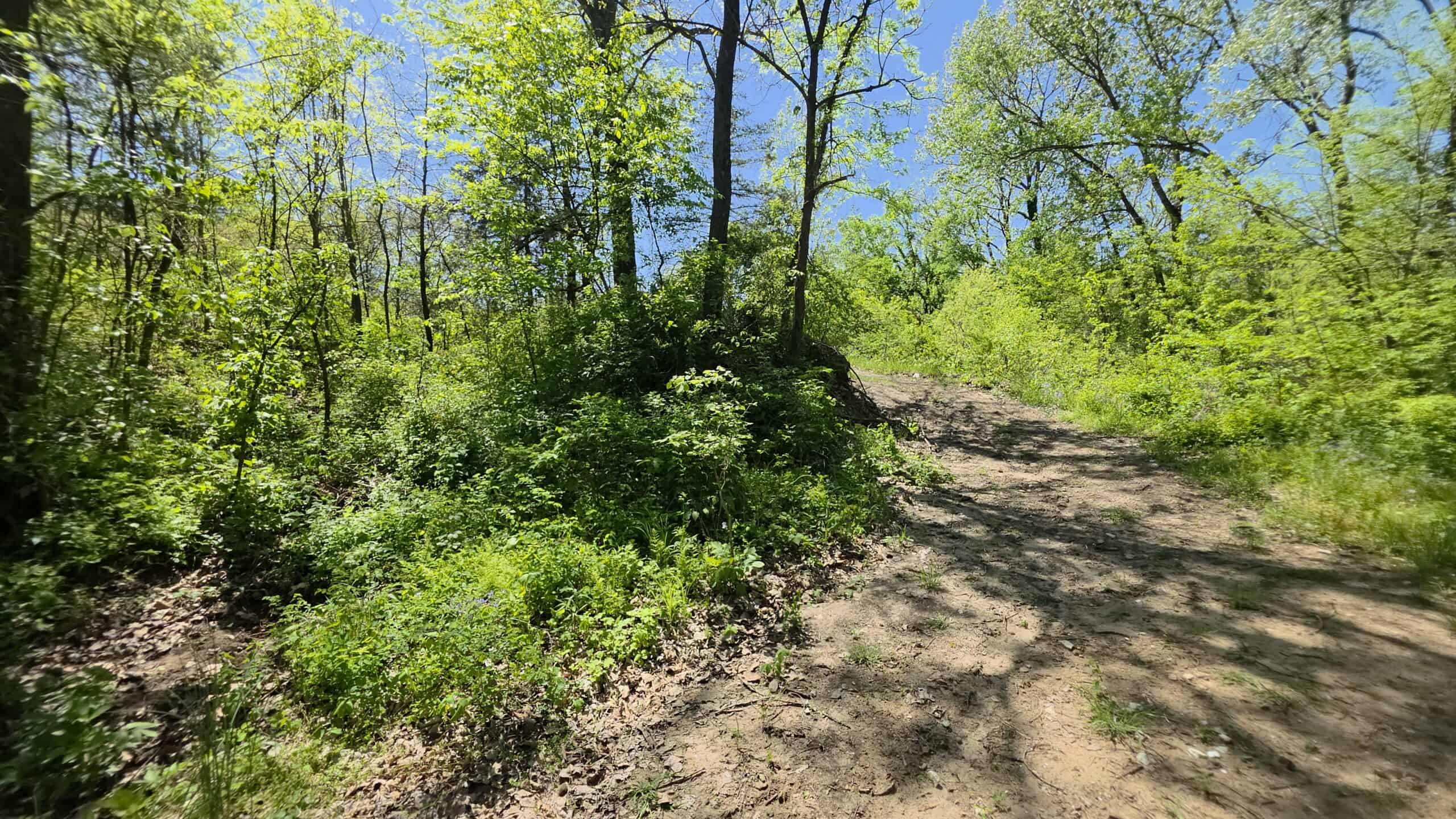 49 Acres + Cabin For Sale in Putnam County, MO