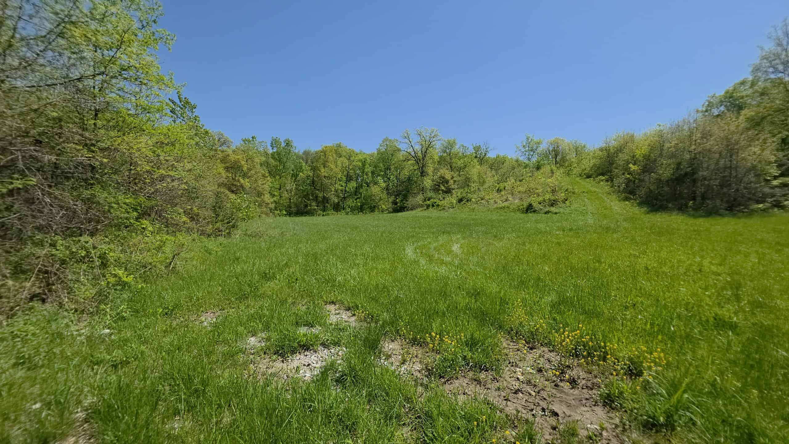 49 Acres + Cabin For Sale in Putnam County, MO