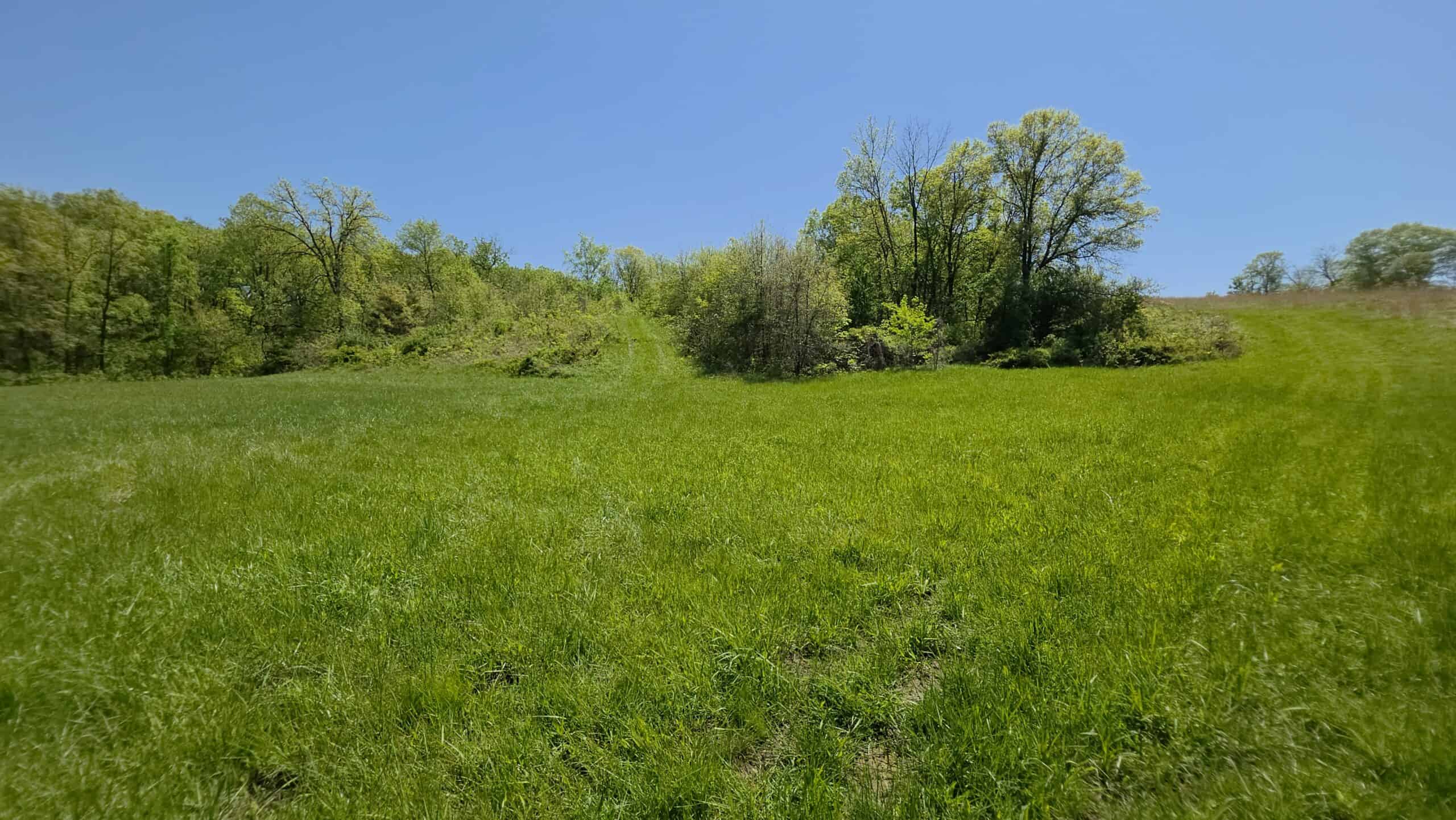 49 Acres + Cabin For Sale in Putnam County, MO
