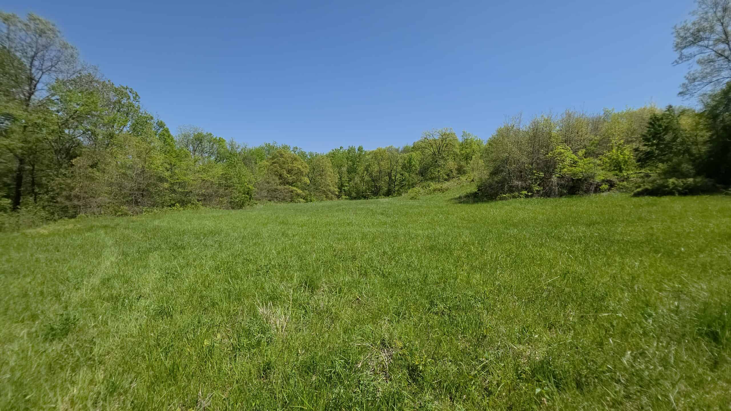 49 Acres + Cabin For Sale in Putnam County, MO