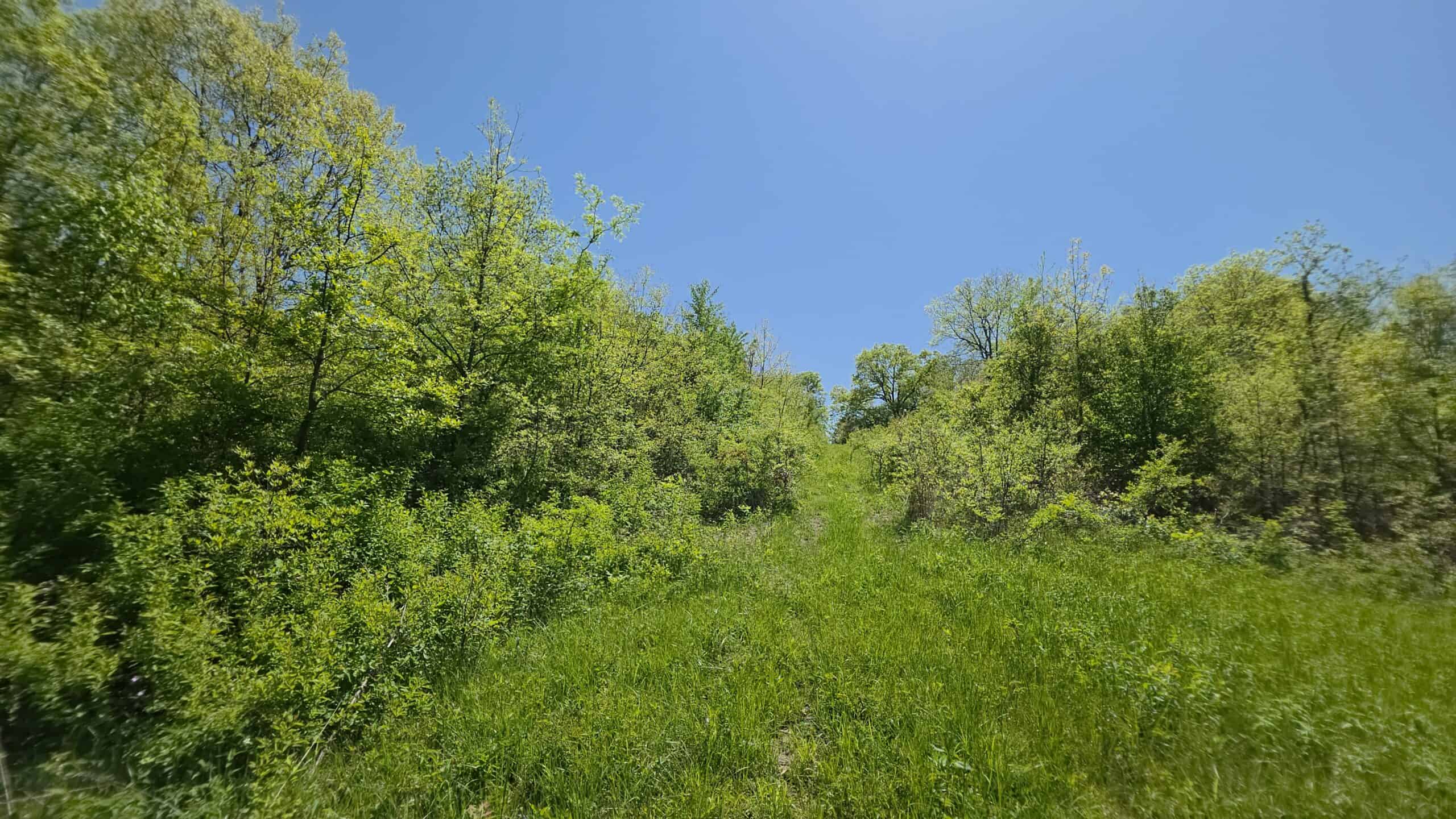 49 Acres + Cabin For Sale in Putnam County, MO