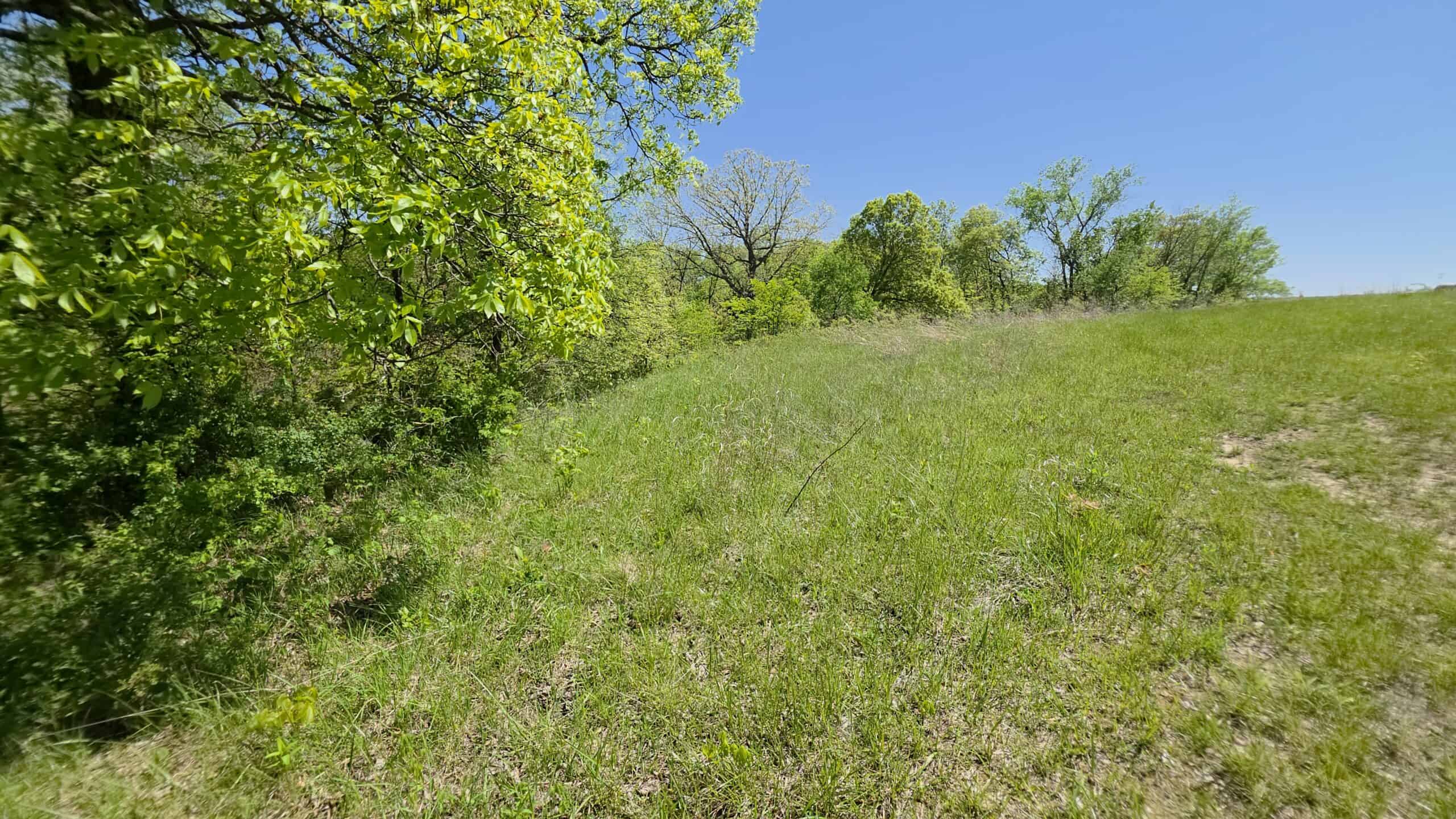 49 Acres + Cabin For Sale in Putnam County, MO