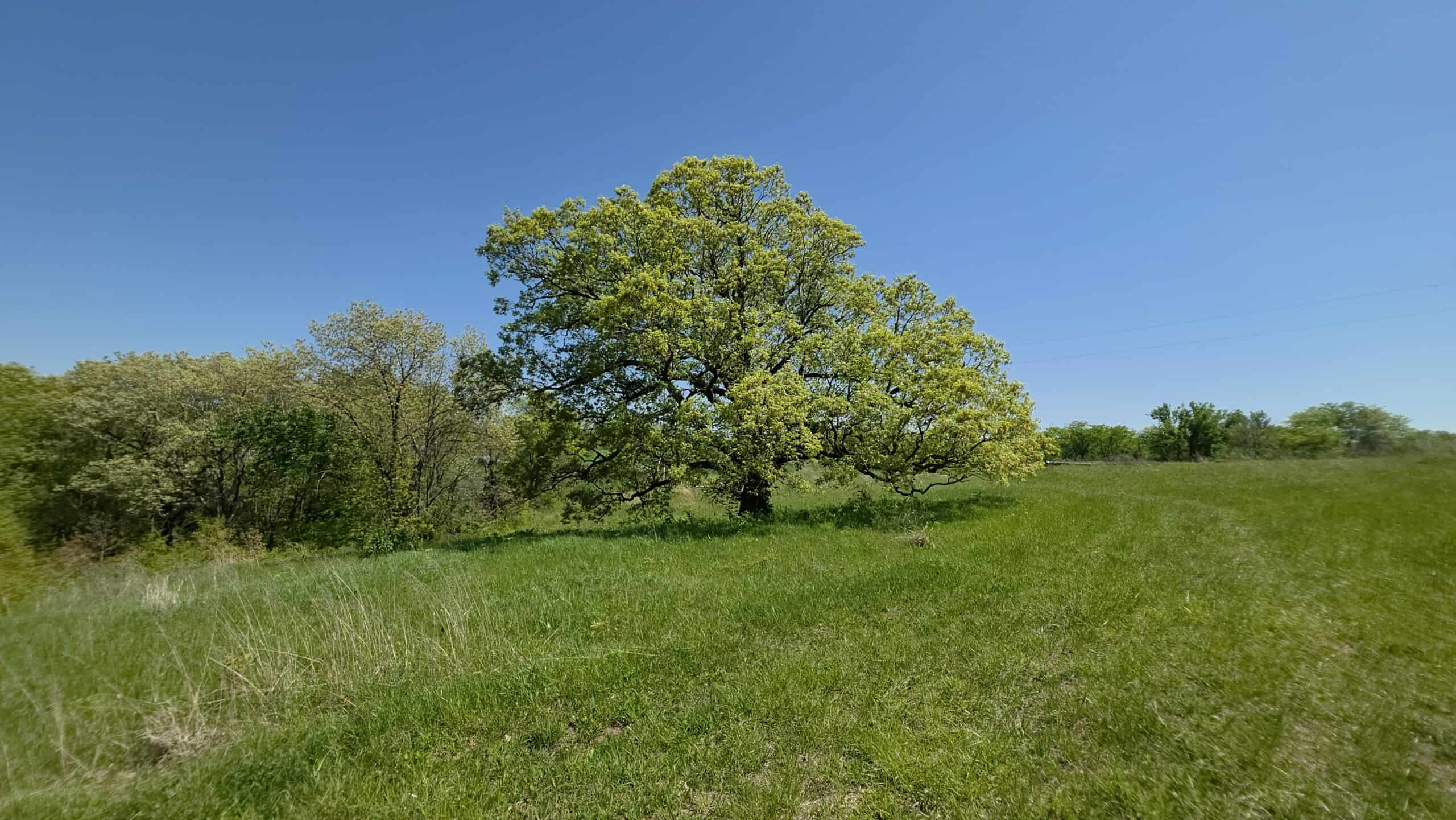 49 Acres + Cabin For Sale in Putnam County, MO