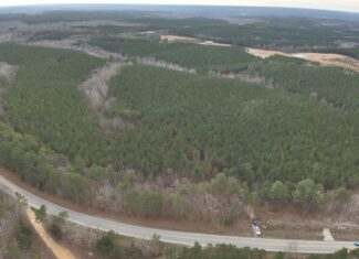 20 Wooded Acres For Sale in Lewis County, Tennessee