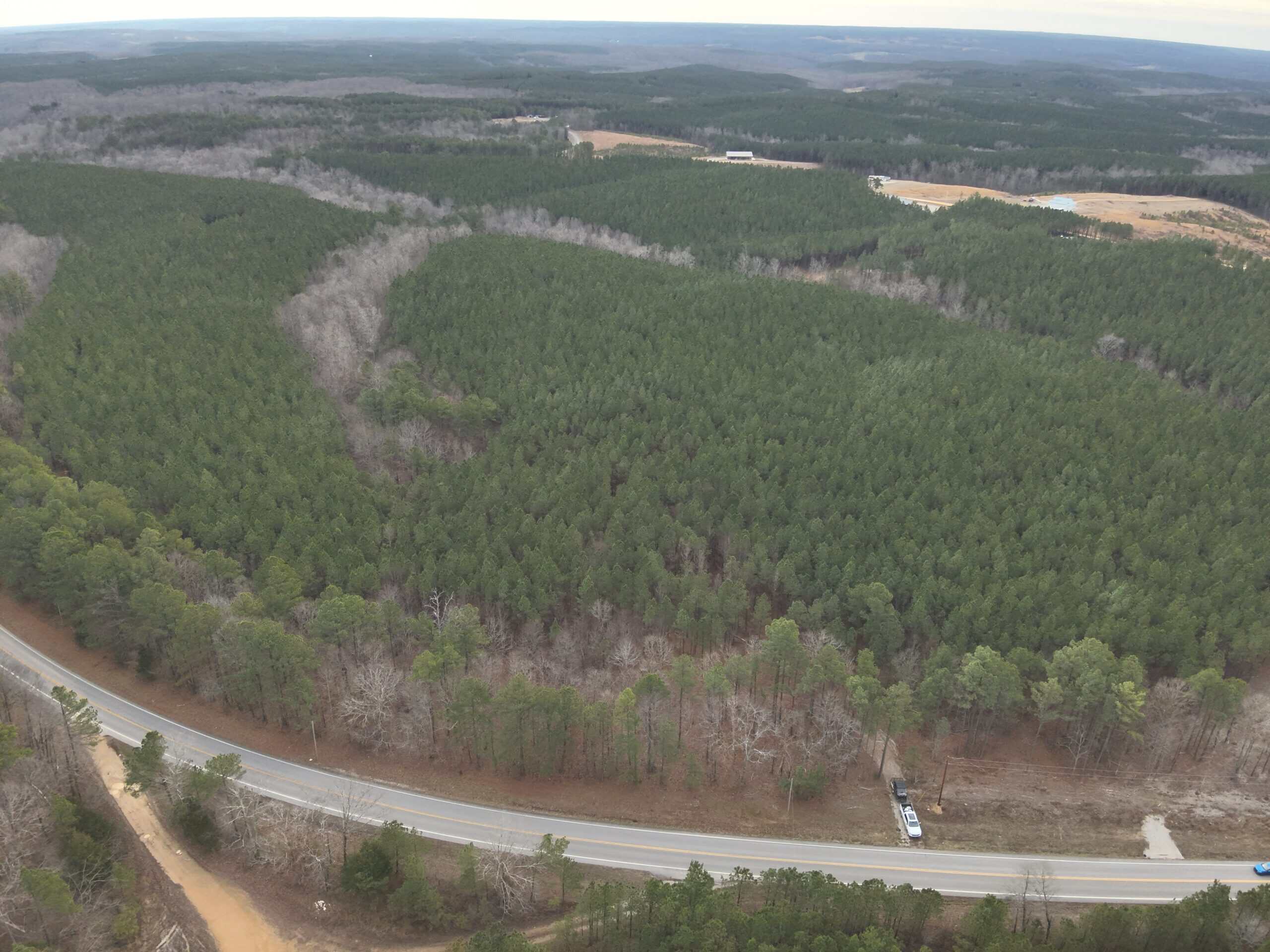 20 Wooded Acres For Sale in Lewis County, Tennessee