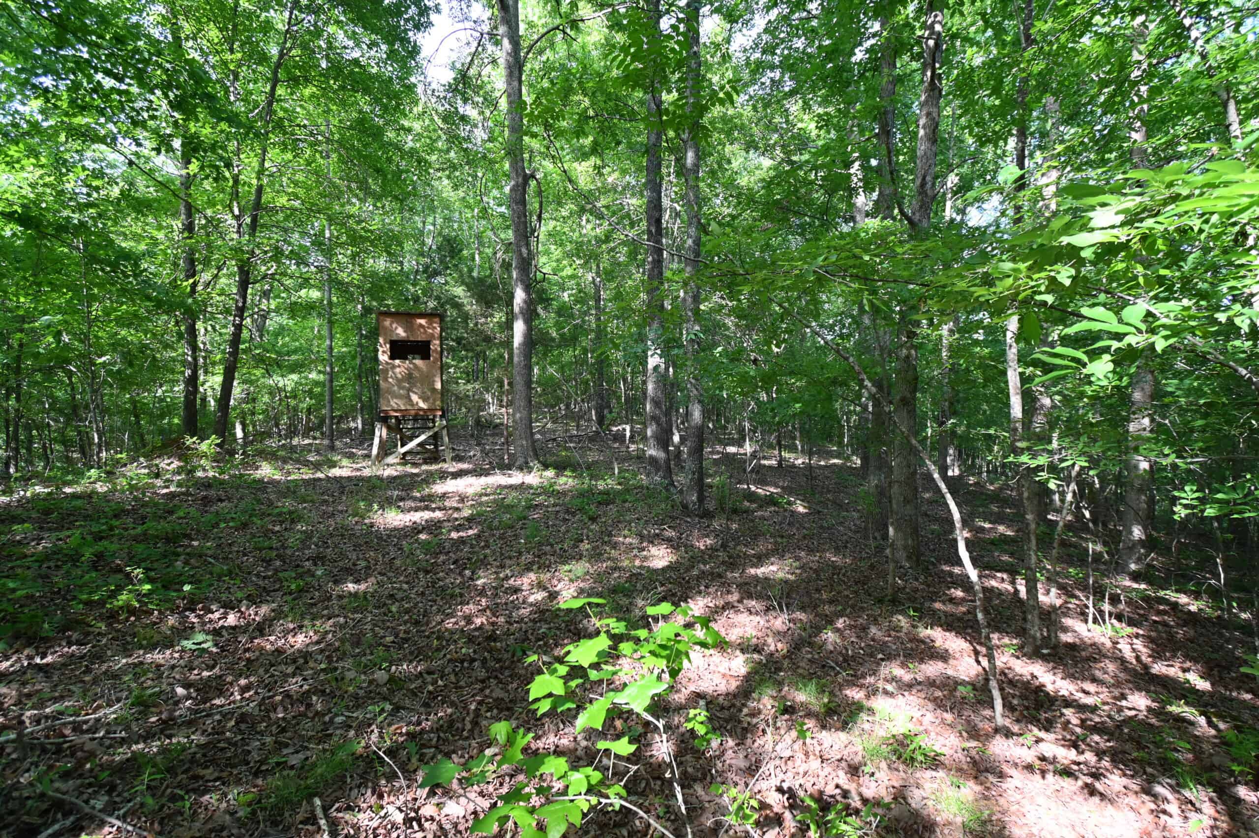 Tennessee Woods Land For Sale! 59.28 ac only minutes to TN River!