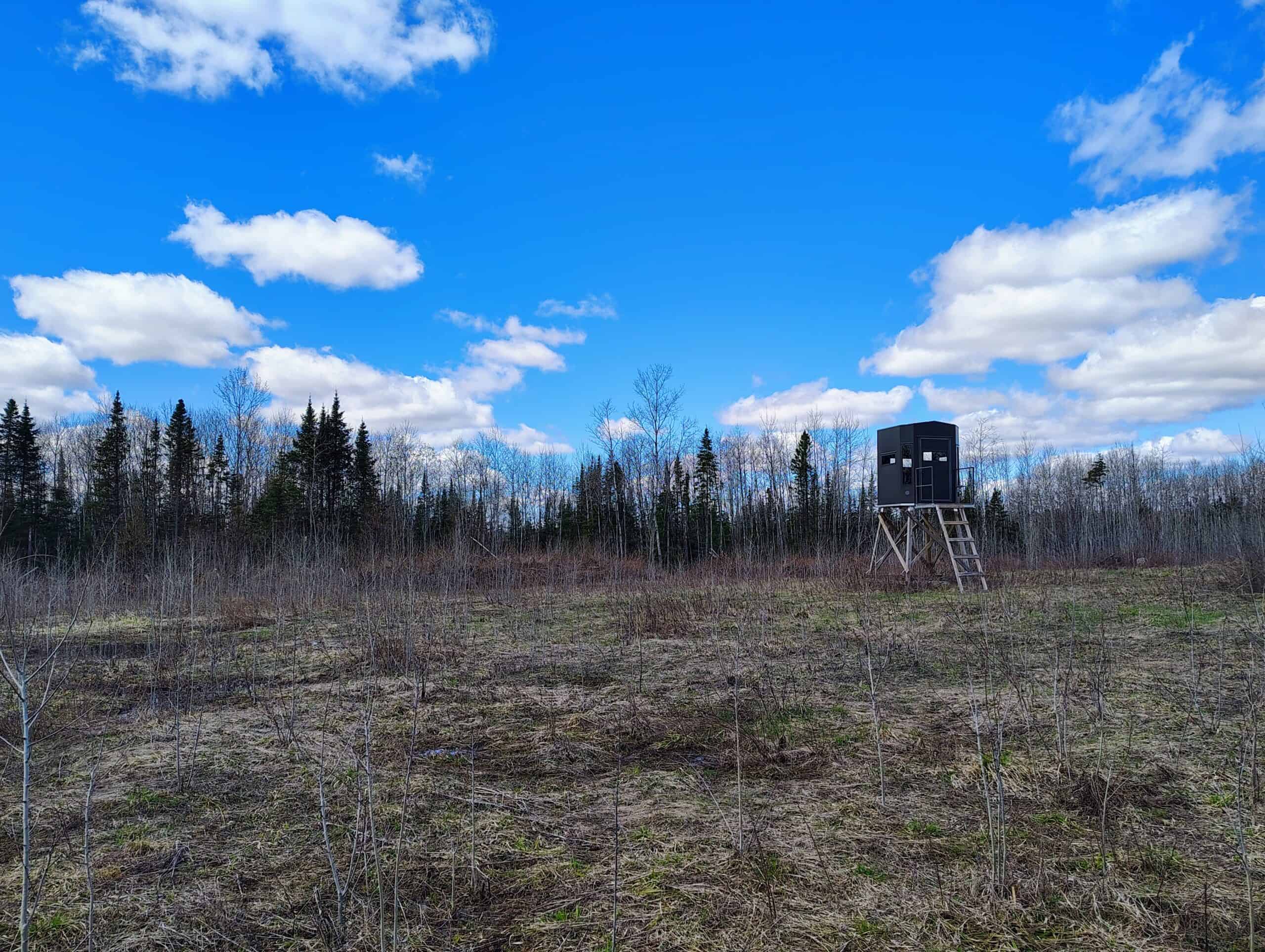 120 ± Acres with New Cabin located in Butternut, WI
