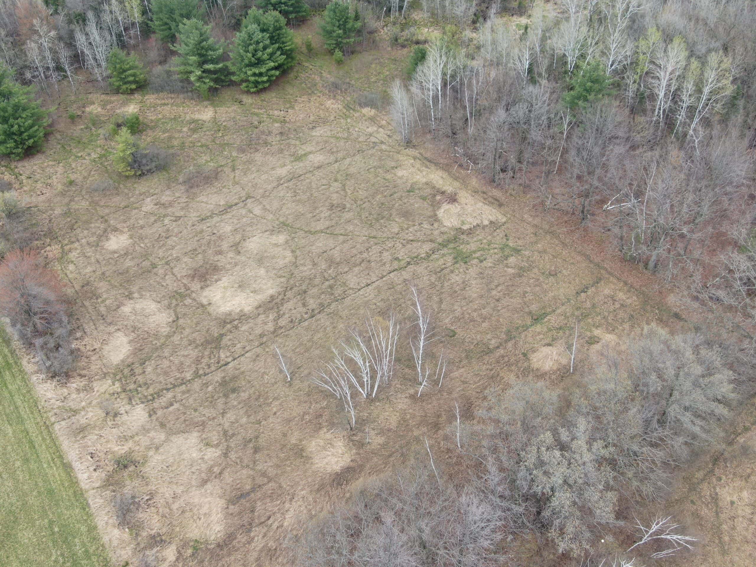 Portage County 40 Acre Hunting and Rec Property for Sale