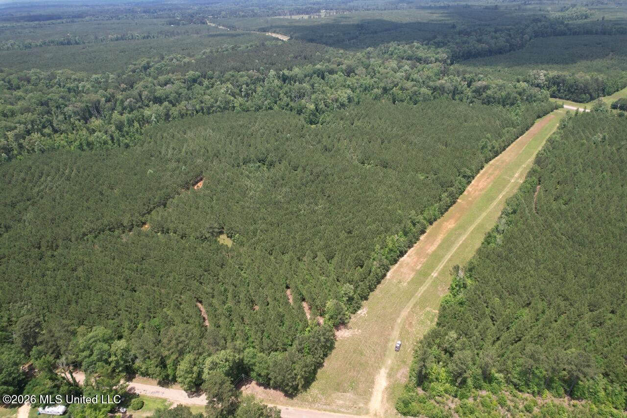 56 Acres in St. Helena Parish with Black Creek