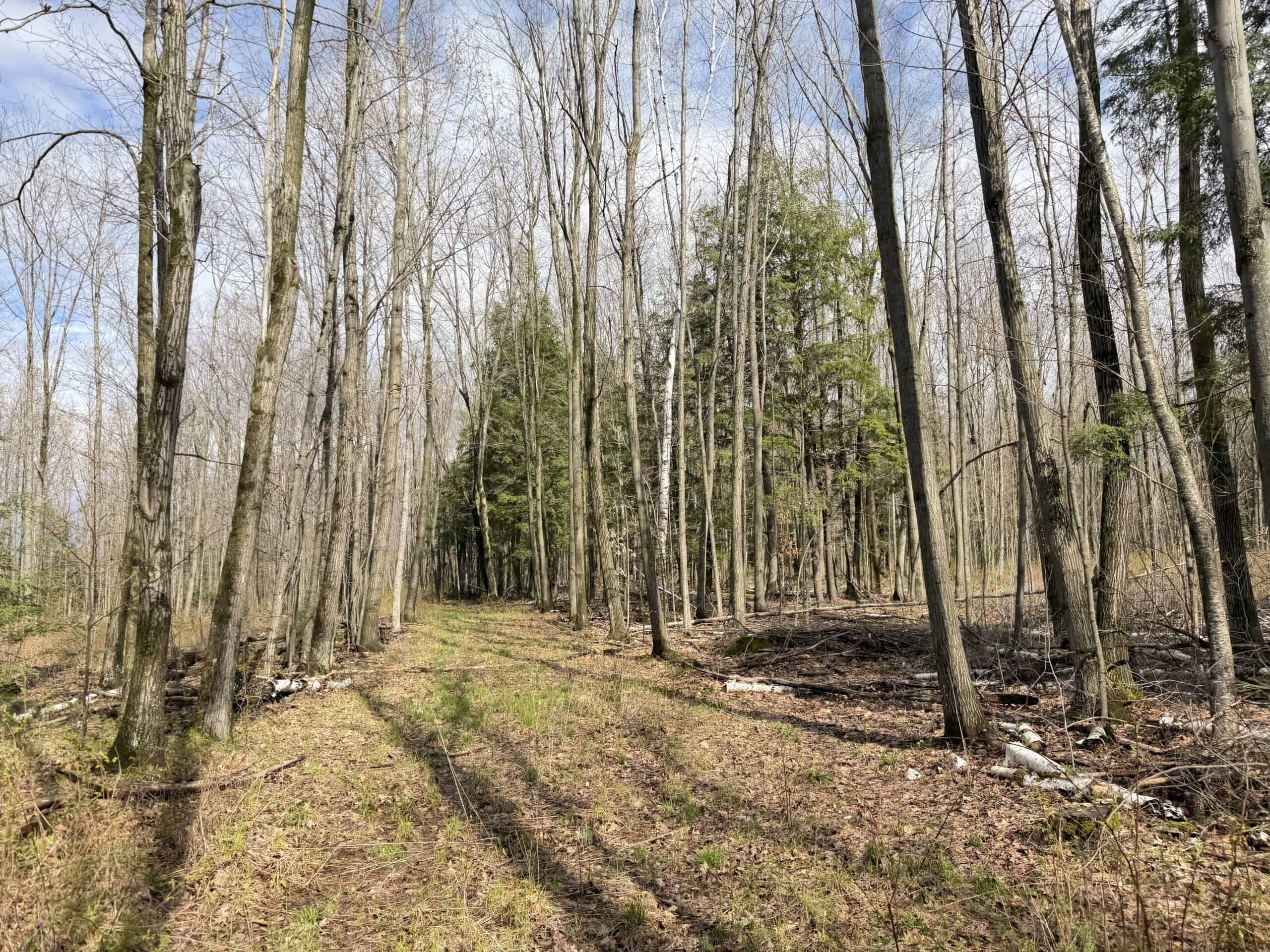120 acres located in the Town of Dewey, Portage County, WI