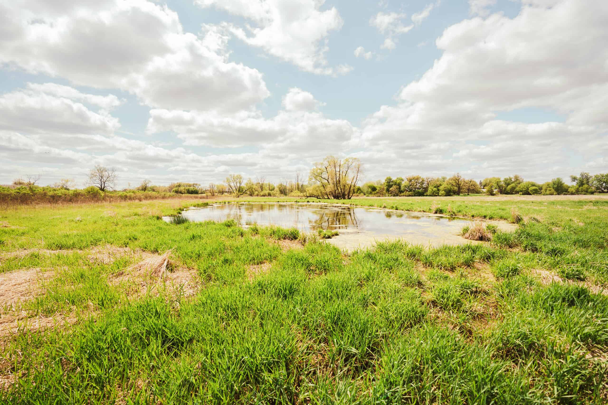 74 Acres in Dane County Town of York Rec, Hunting and Build Site for Sale