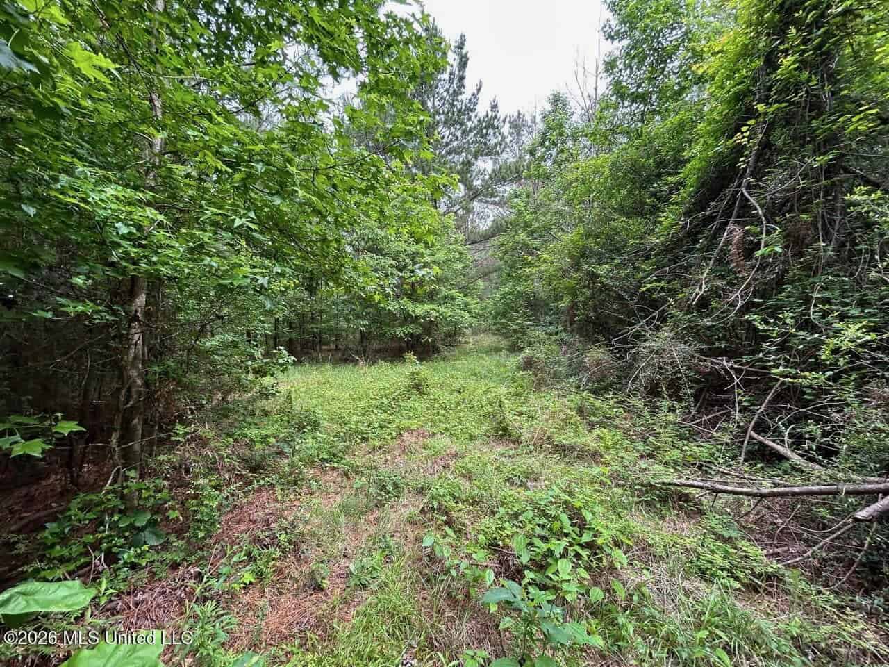 15 Acres with Pond & Homesite in Liberty, MS