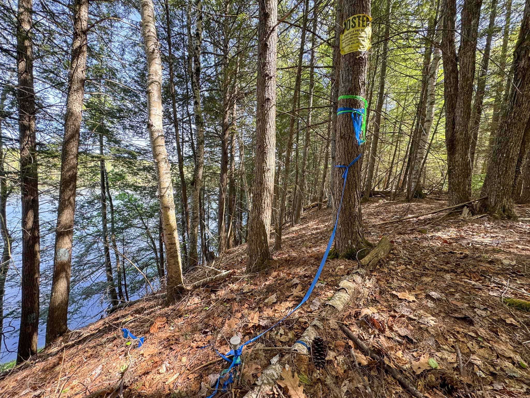 Maine River Property – 40.18 Acres – Woodville