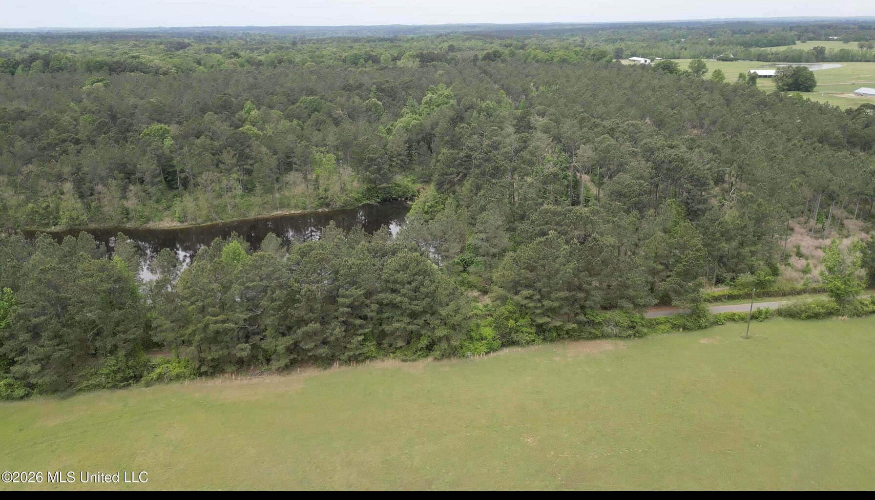 160 Acre in Bienville Parish Near Arcadia, Louisiana