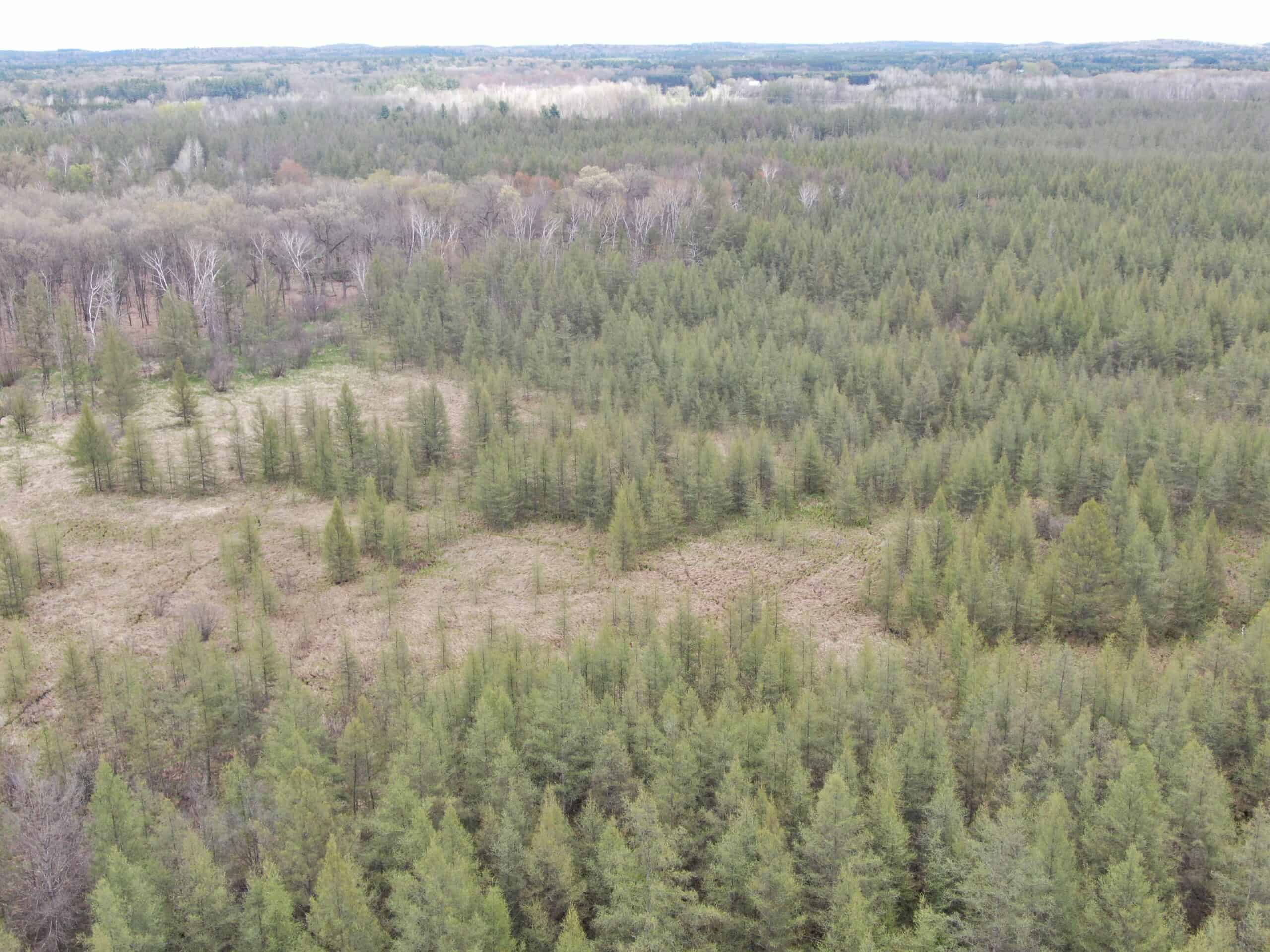 88 Acre Marquette County  WI Hunting Property For Sale