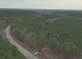 20 Wooded Acres For Sale in Lewis County, Tennessee