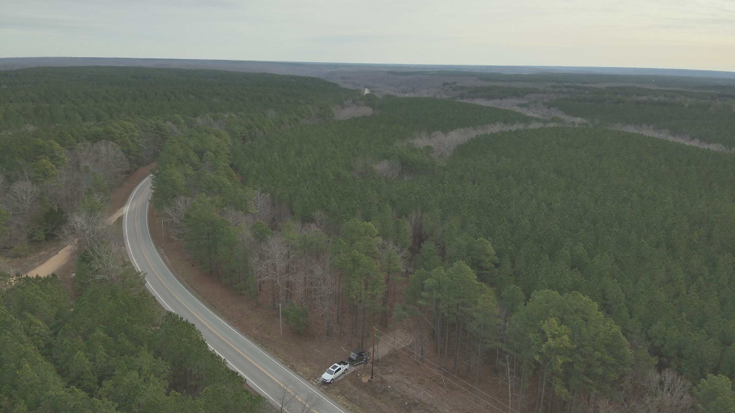 20 Wooded Acres For Sale in Lewis County, Tennessee