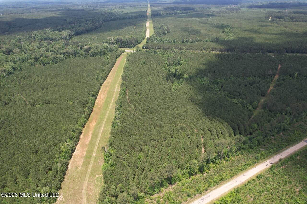 56 Acres in St. Helena Parish with Black Creek