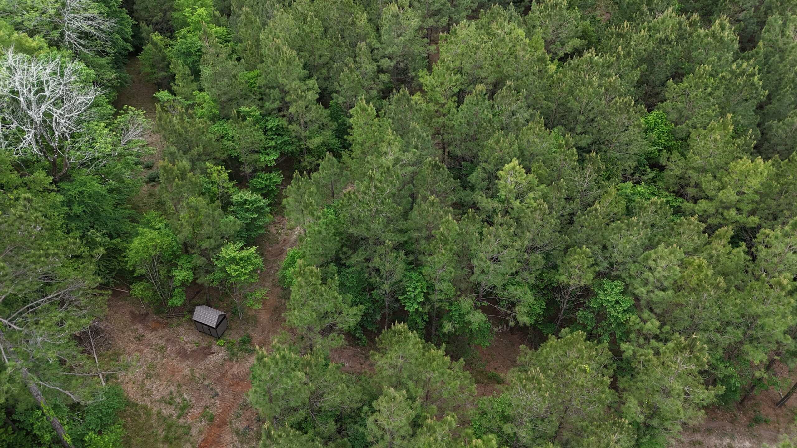 LA Recreation & Timber Property Joining Saline Lake