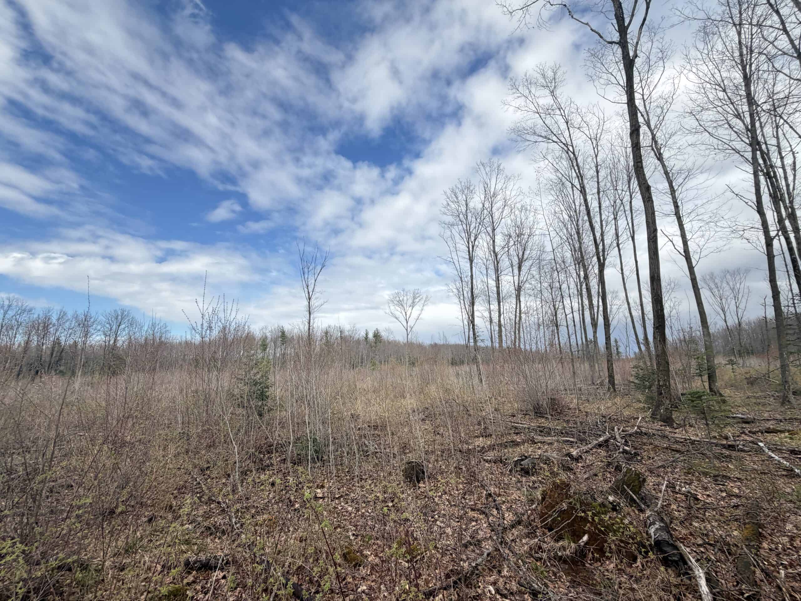 120 acres located in the Town of Dewey, Portage County, WI