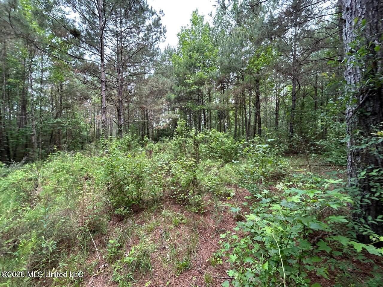 15 Acres with Pond & Homesite in Liberty, MS