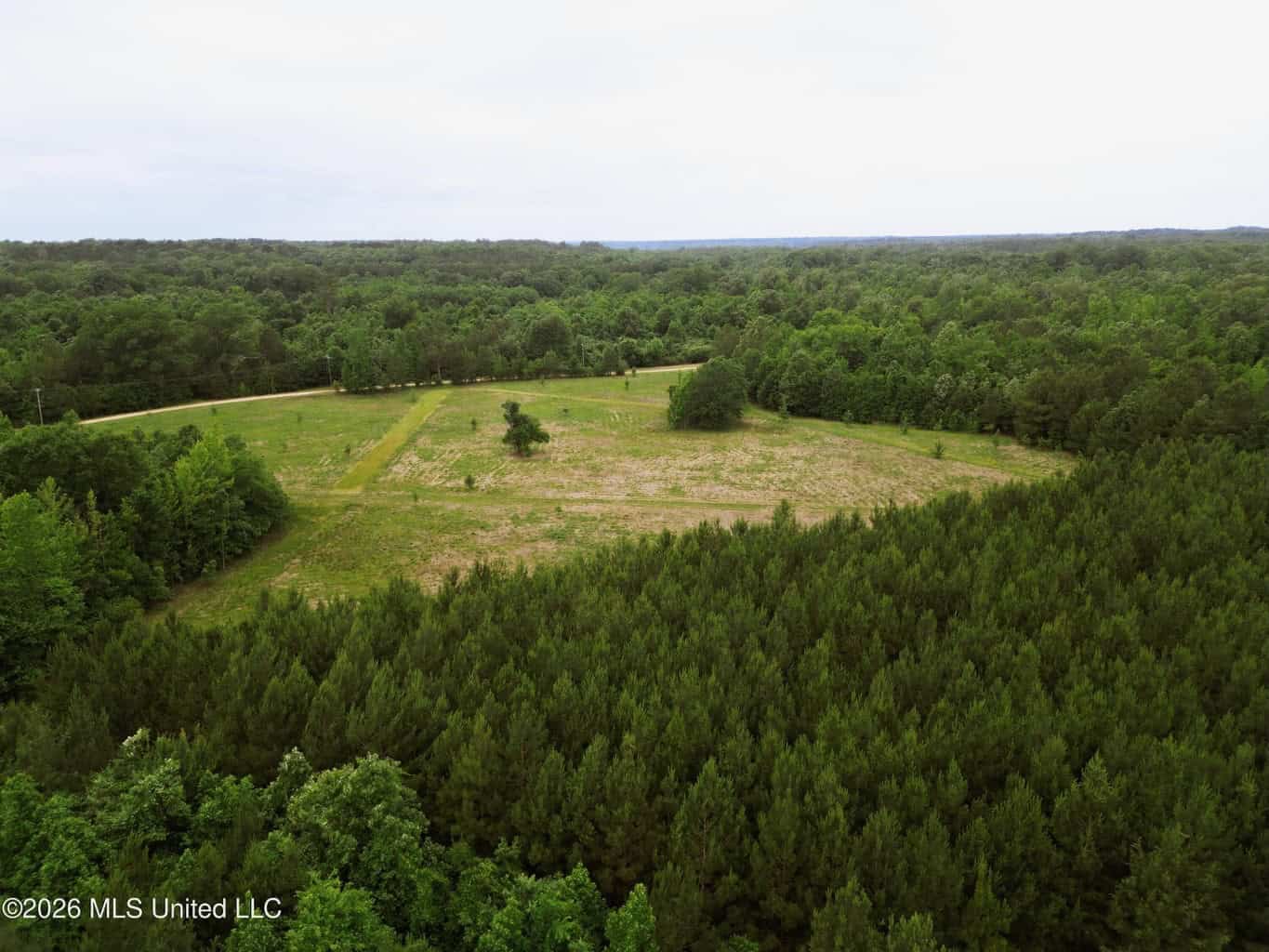 Land for Sale in Amite County, MS