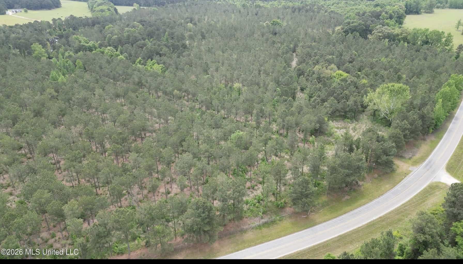 160 Acre in Bienville Parish Near Arcadia, Louisiana