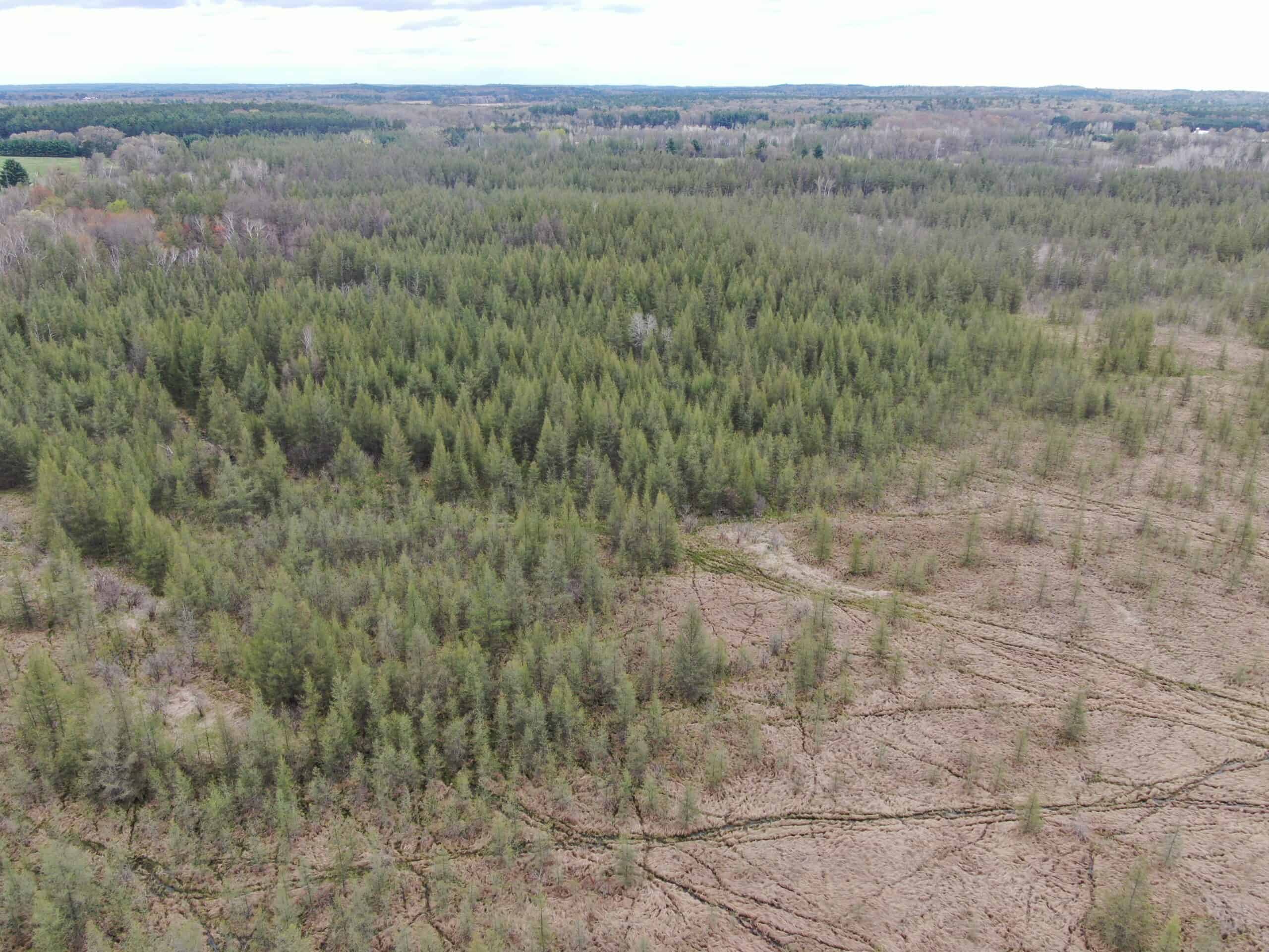 88 Acre Marquette County  WI Hunting Property For Sale