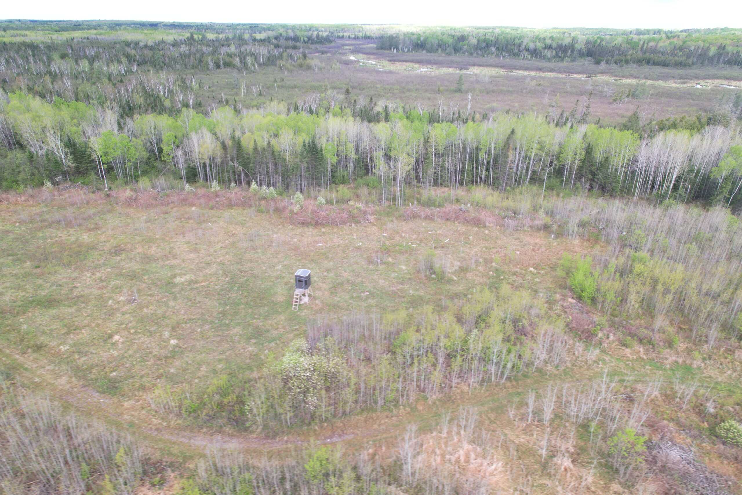 120 ± Acres with New Cabin located in Butternut, WI